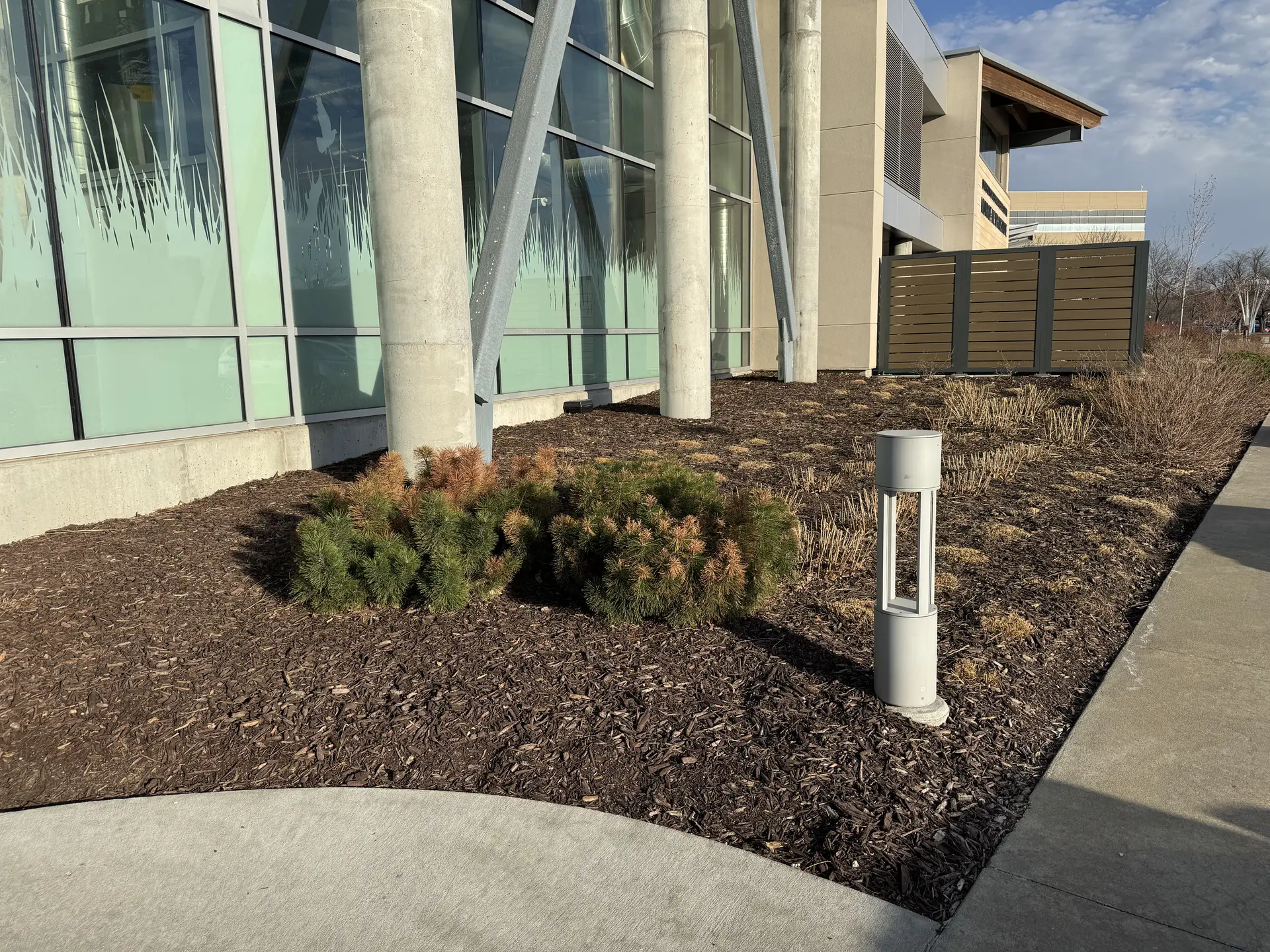 Freshly installed mulch bed with clean edging around landscape plantings