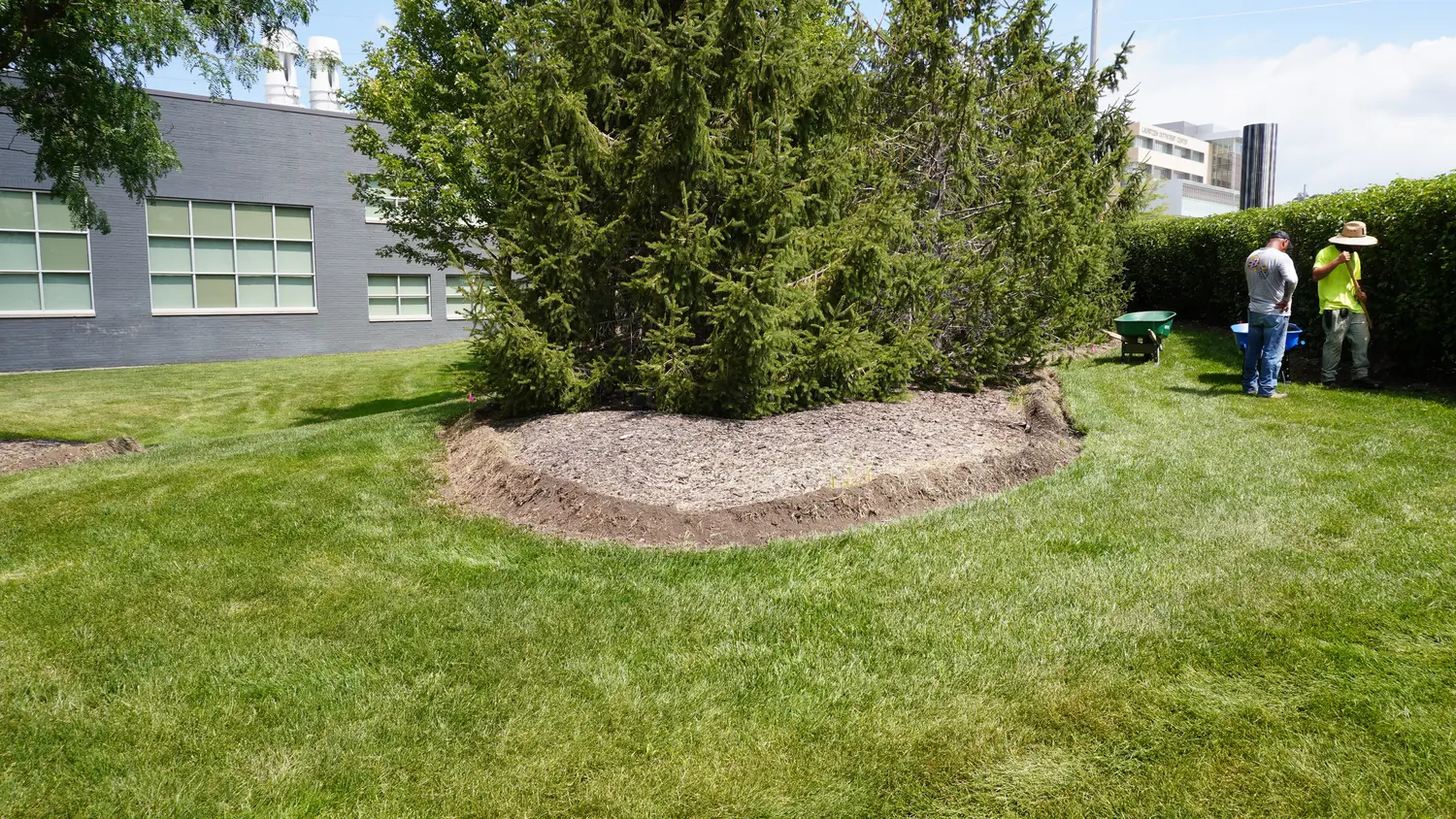 Fresh mulch installation around commercial landscape beds