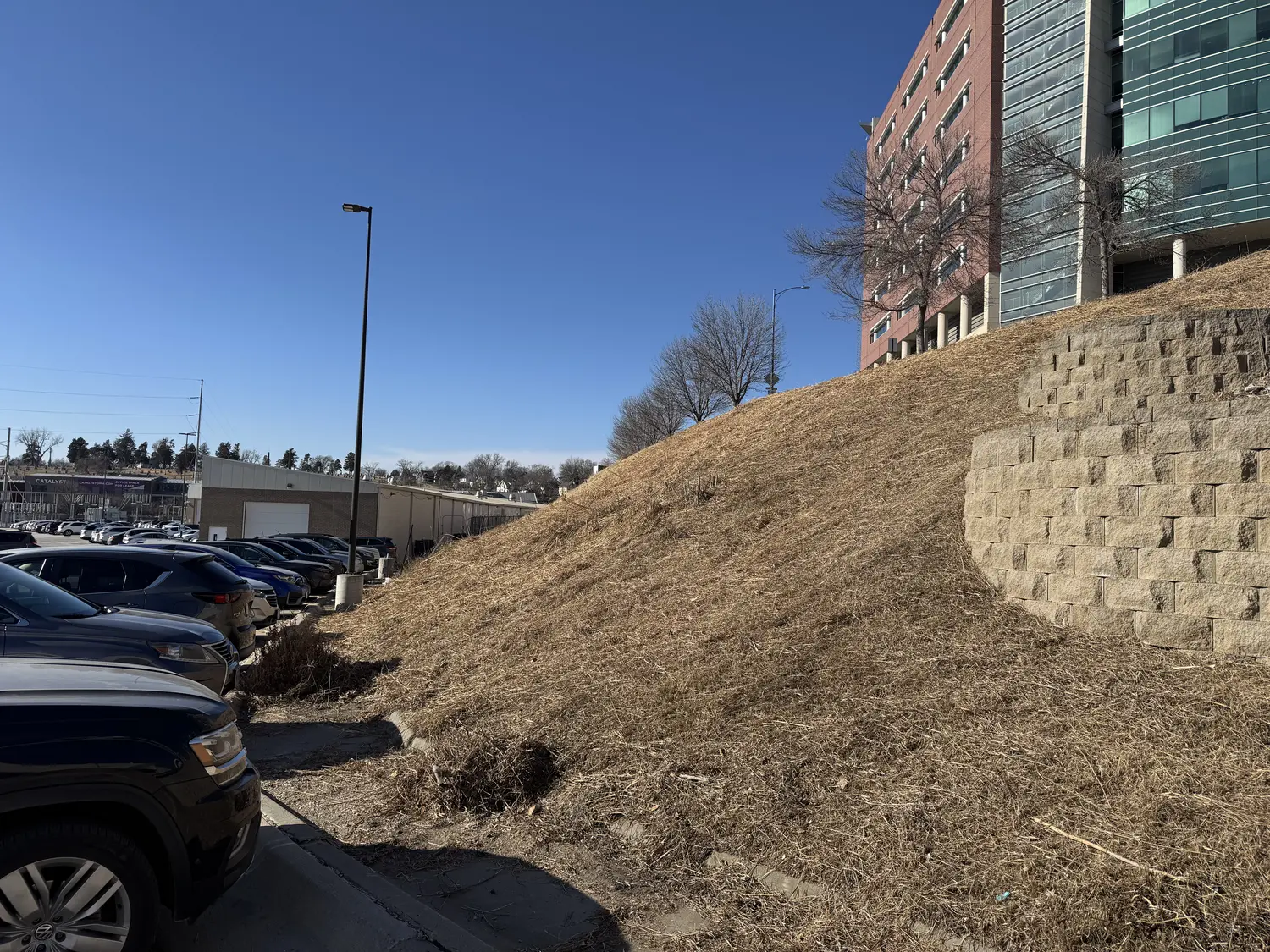 Land clearing project site cleaned up by Landwerks